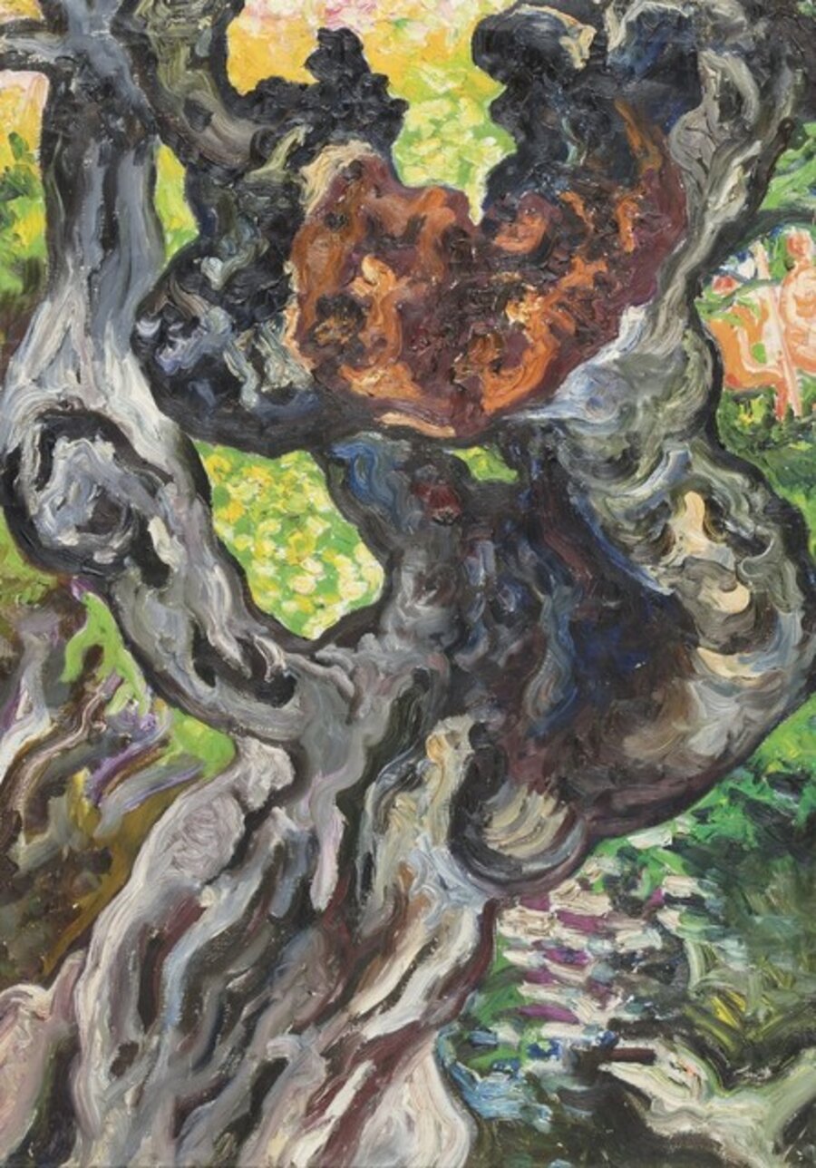 Tronco d'albero - il carrubo dietro la baracca con Guido e Marcella sullo sfondo