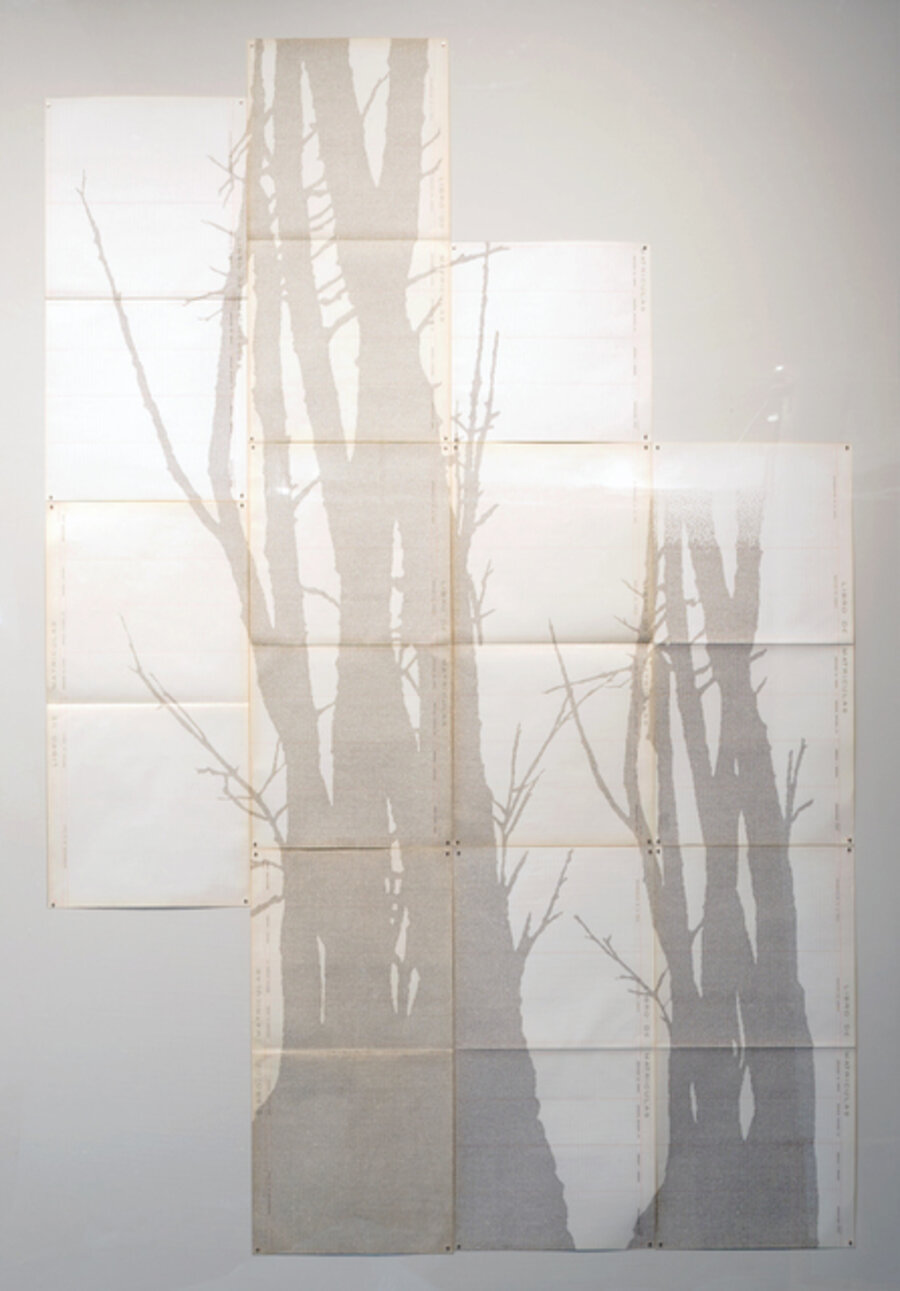 Perimetros II