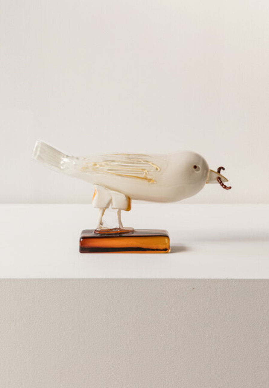 White Bird with worm