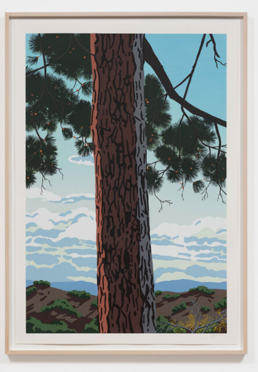 L.A. Pines Suite