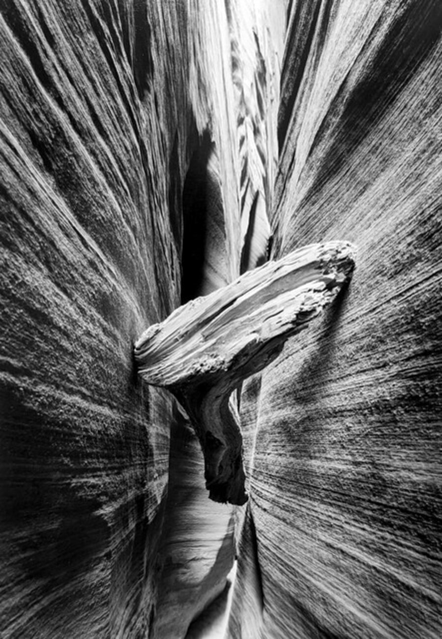 Log Between Walls, Novato Canyon