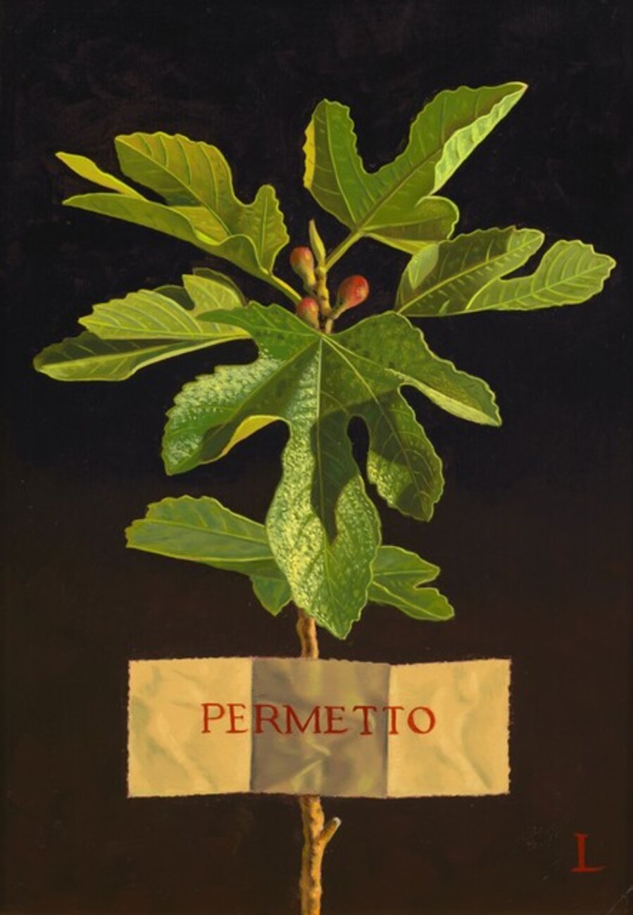 PERMETTO (To Allow)