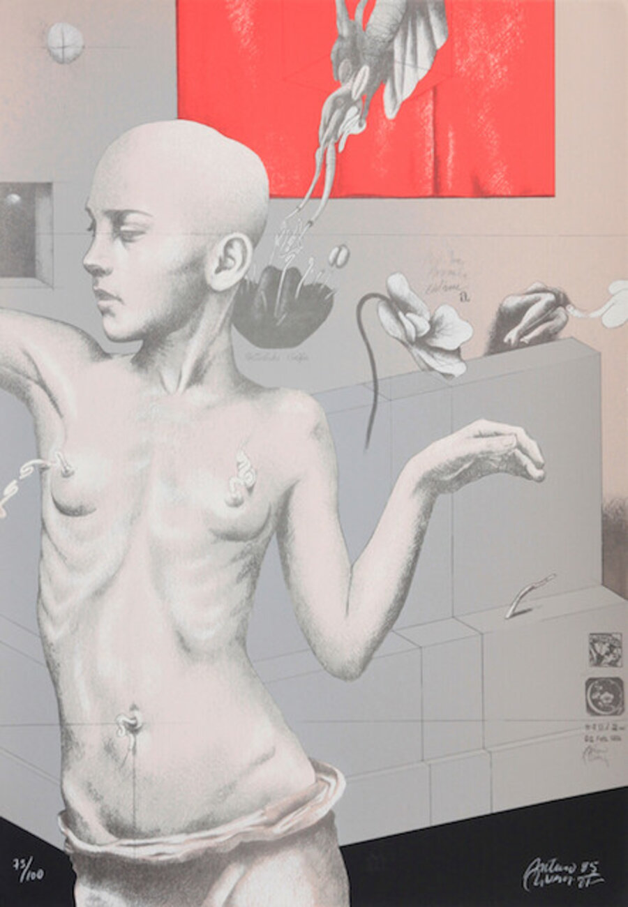 Adolescente
