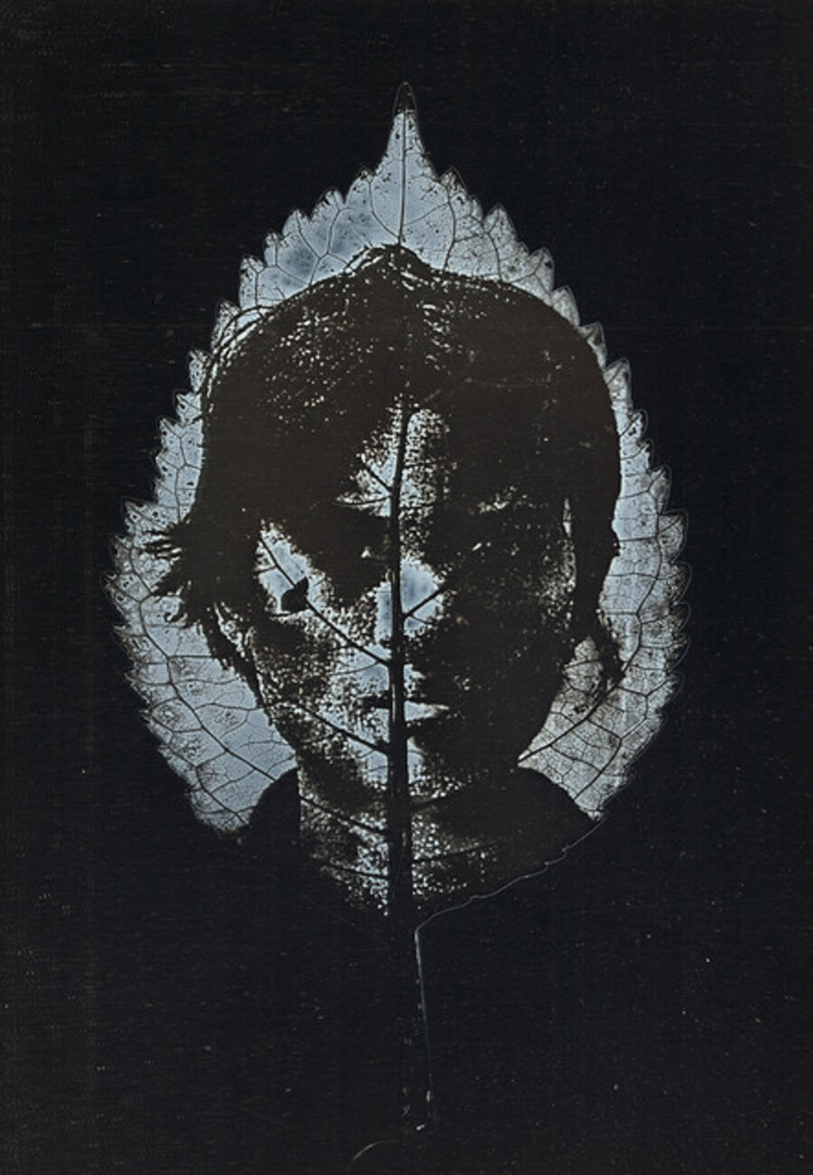 Untitled #20, from the series, "Aura of Botanical Specimen"