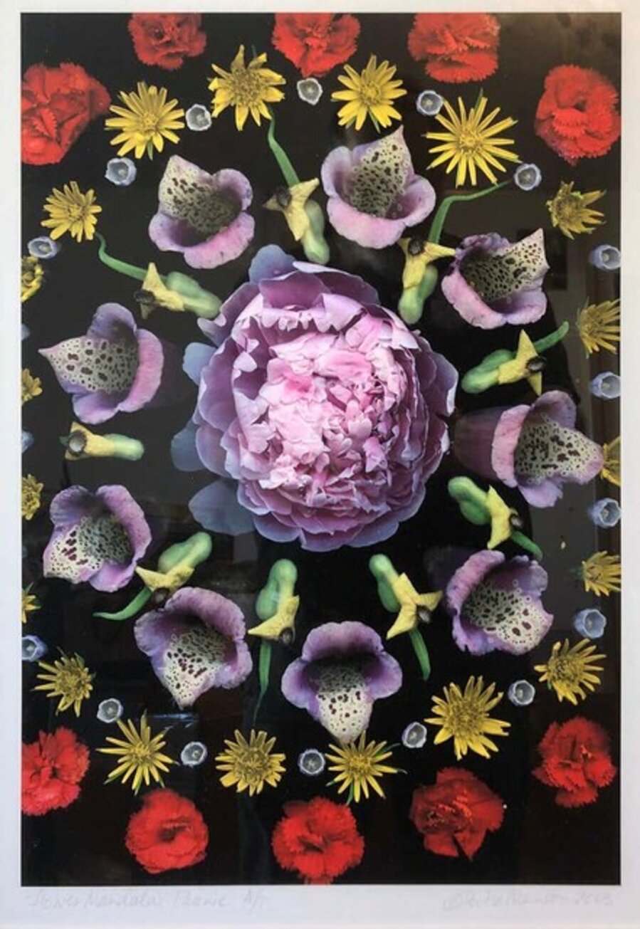 Flower Mandala Peonie