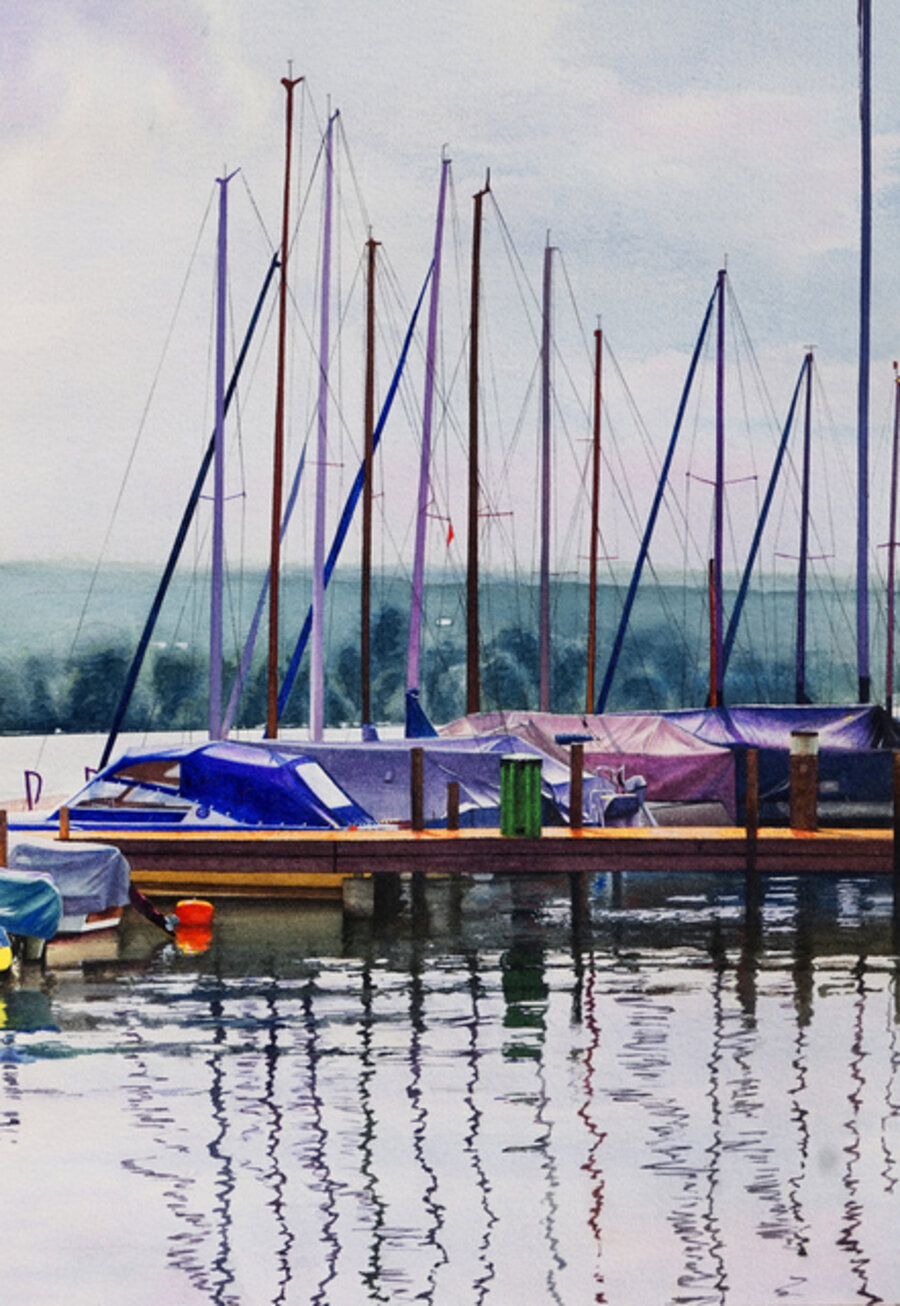 Il Lago di Zurigo