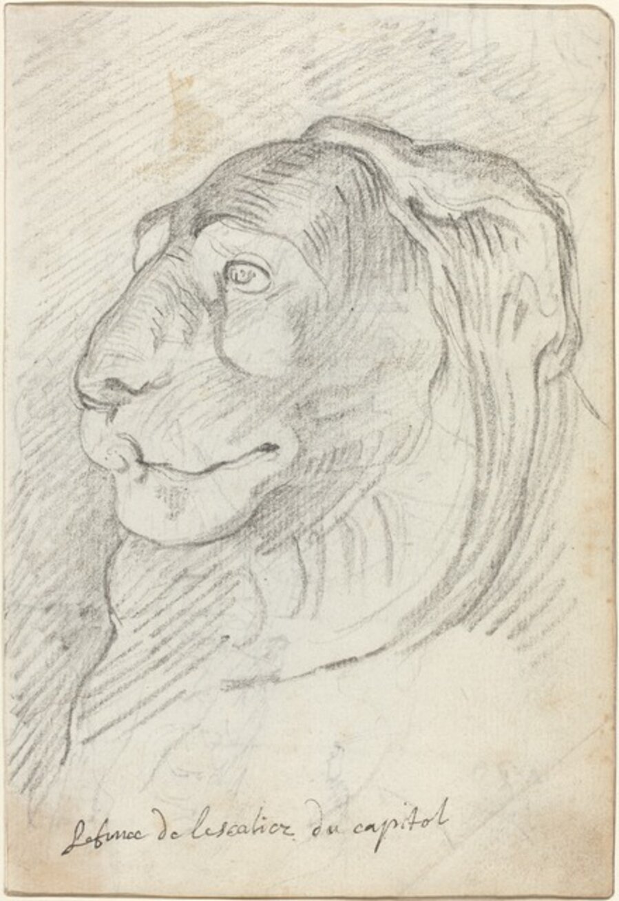 Lion's Head from the Capitoline Staircase
