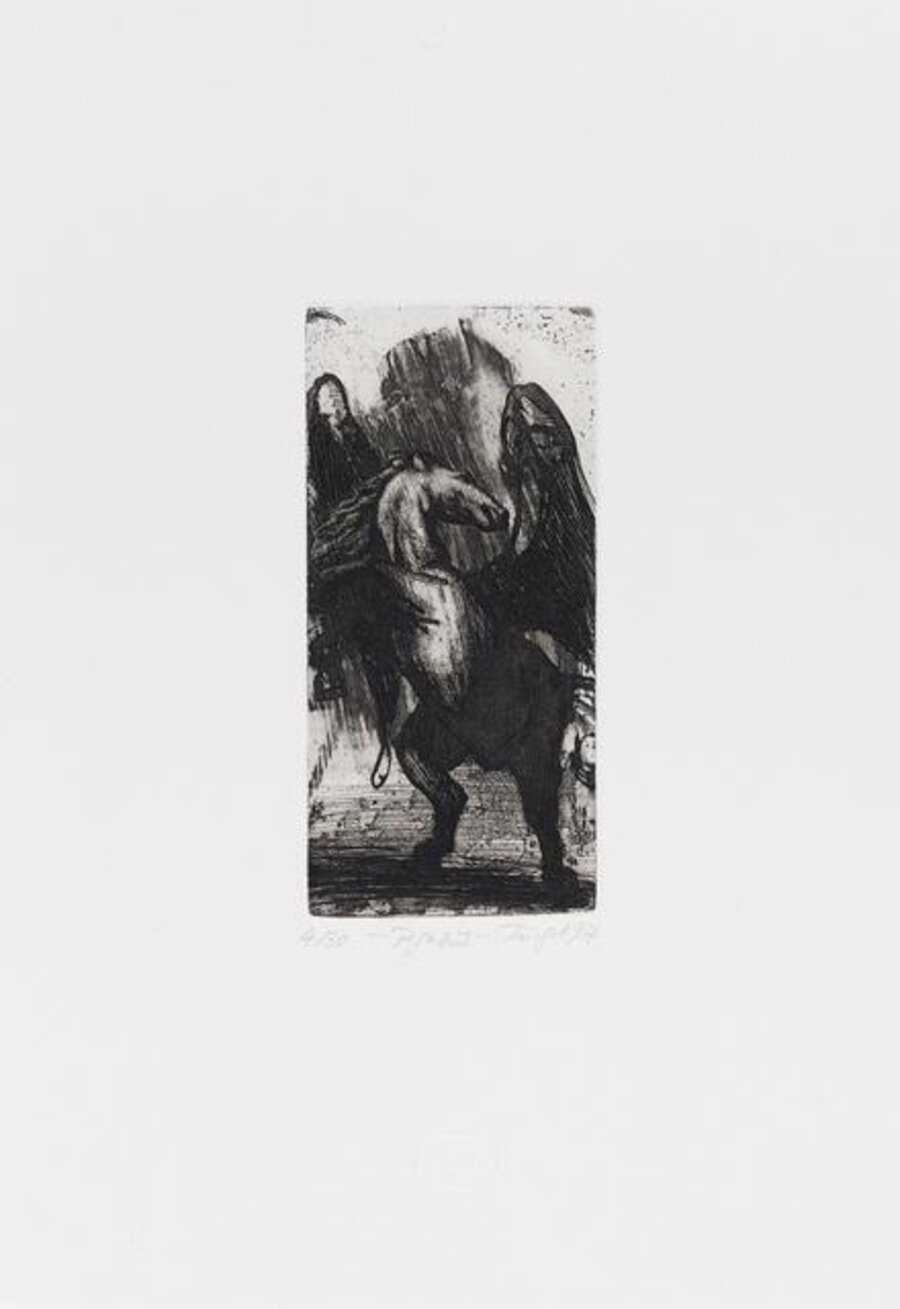 Pegasus
