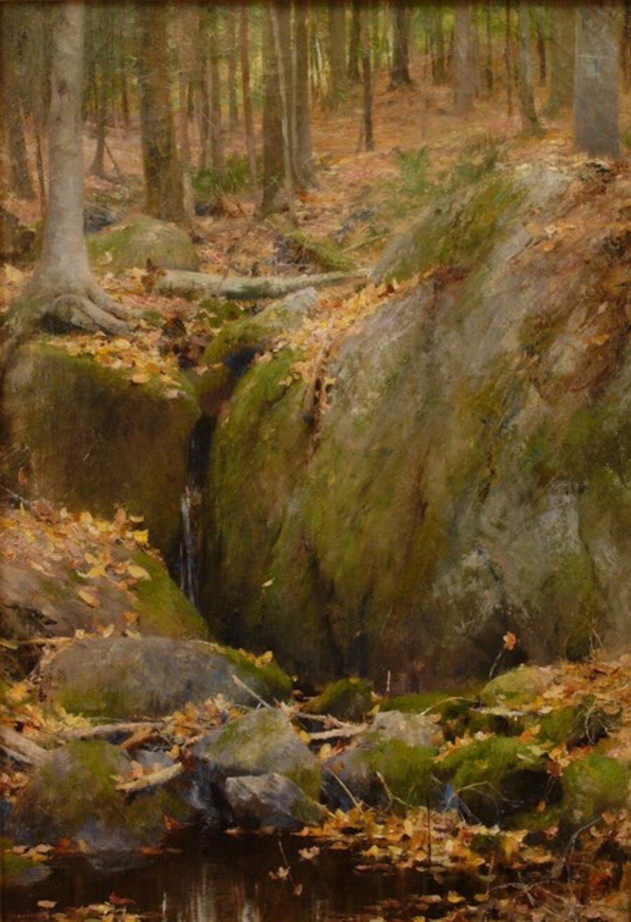 Rocky Pool