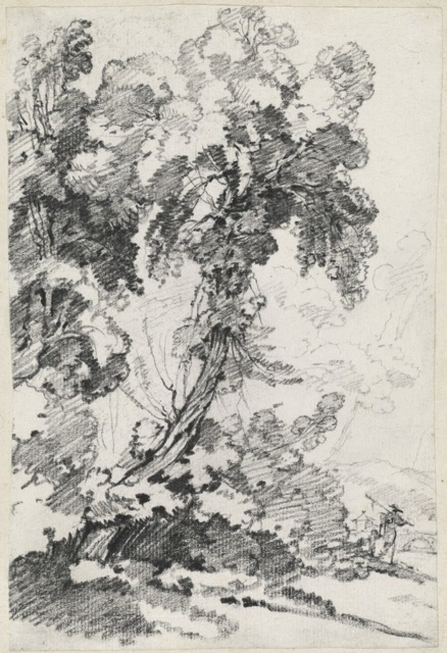 A Towering Tree with Travelers
