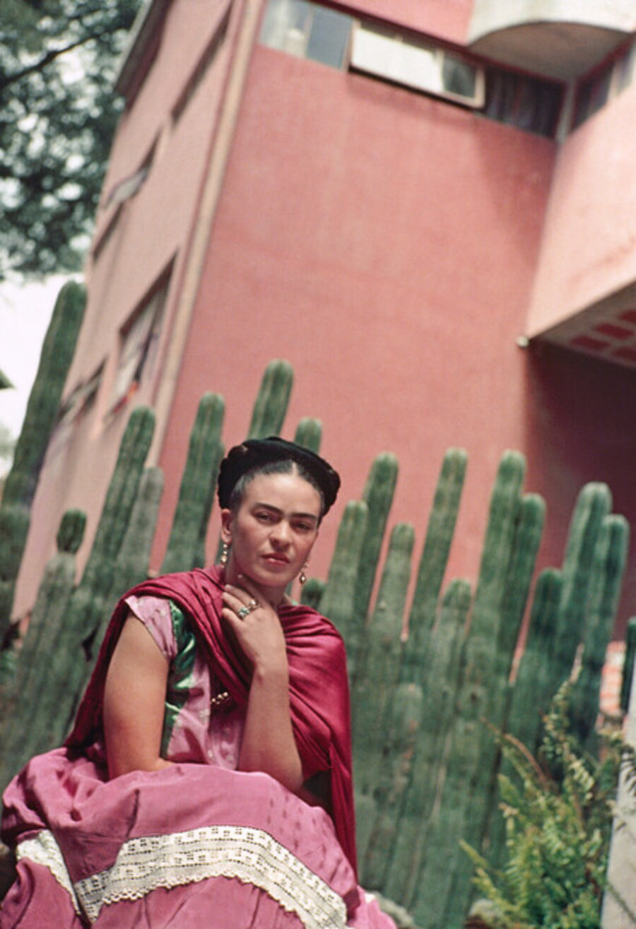 Frida In Front of Organ Cactus Fence, Atlavista
