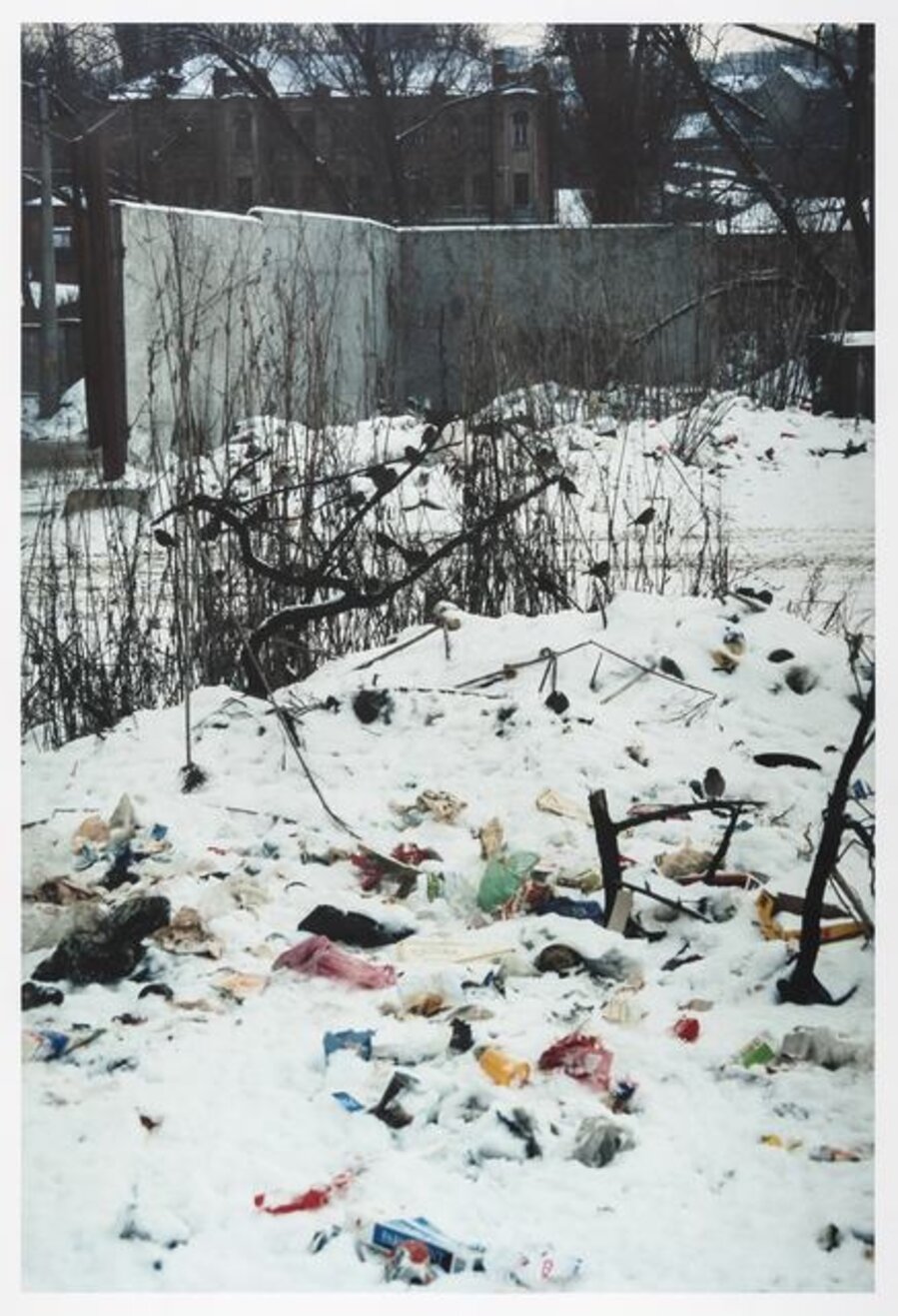 Untitled from Case History
