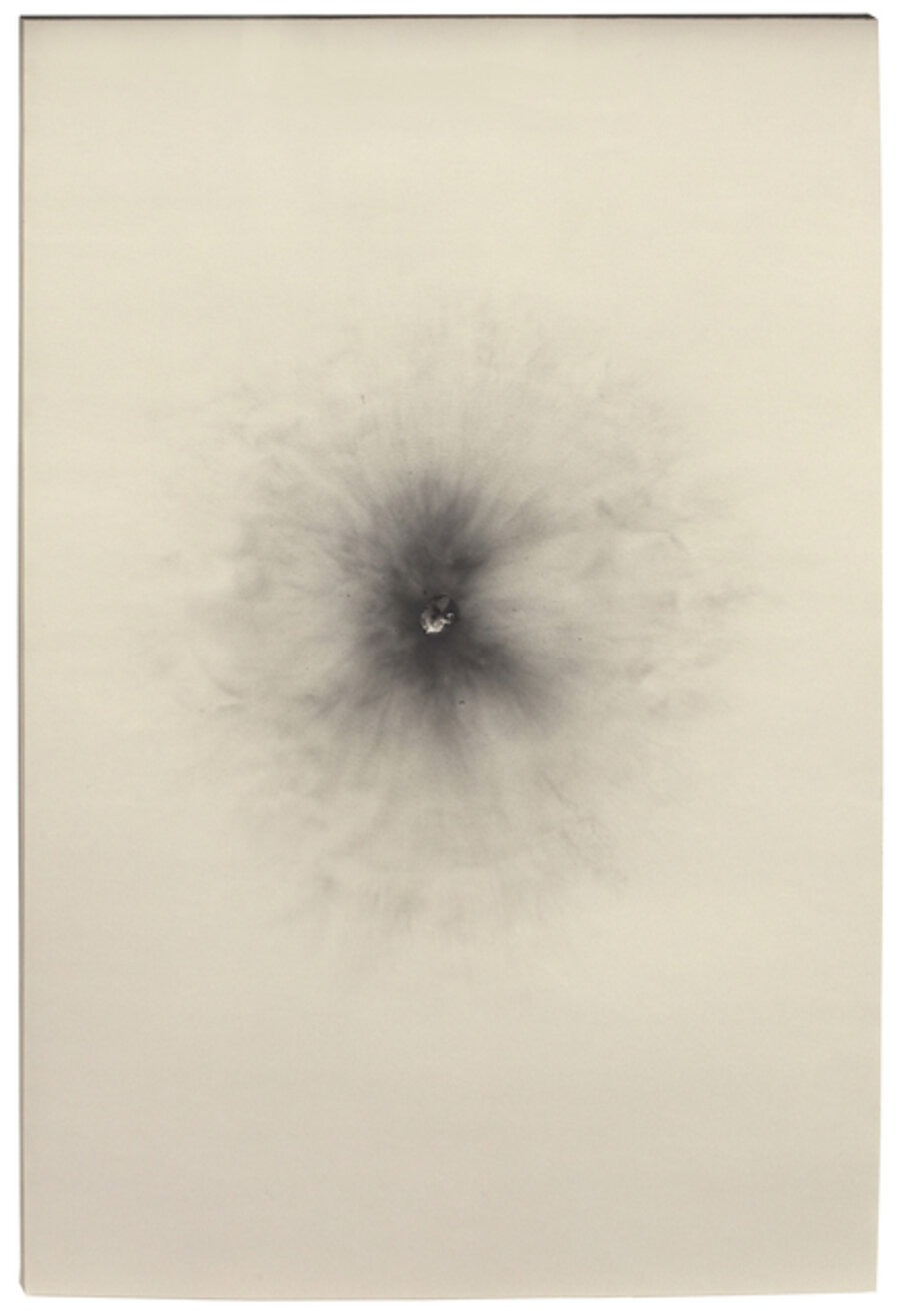 Untitled (Daly Over/Under at Close Range With .12 “Punkin' Ball" Slug)