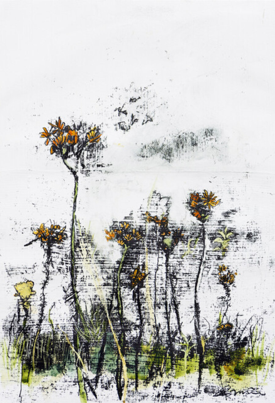 Fox and Cubs