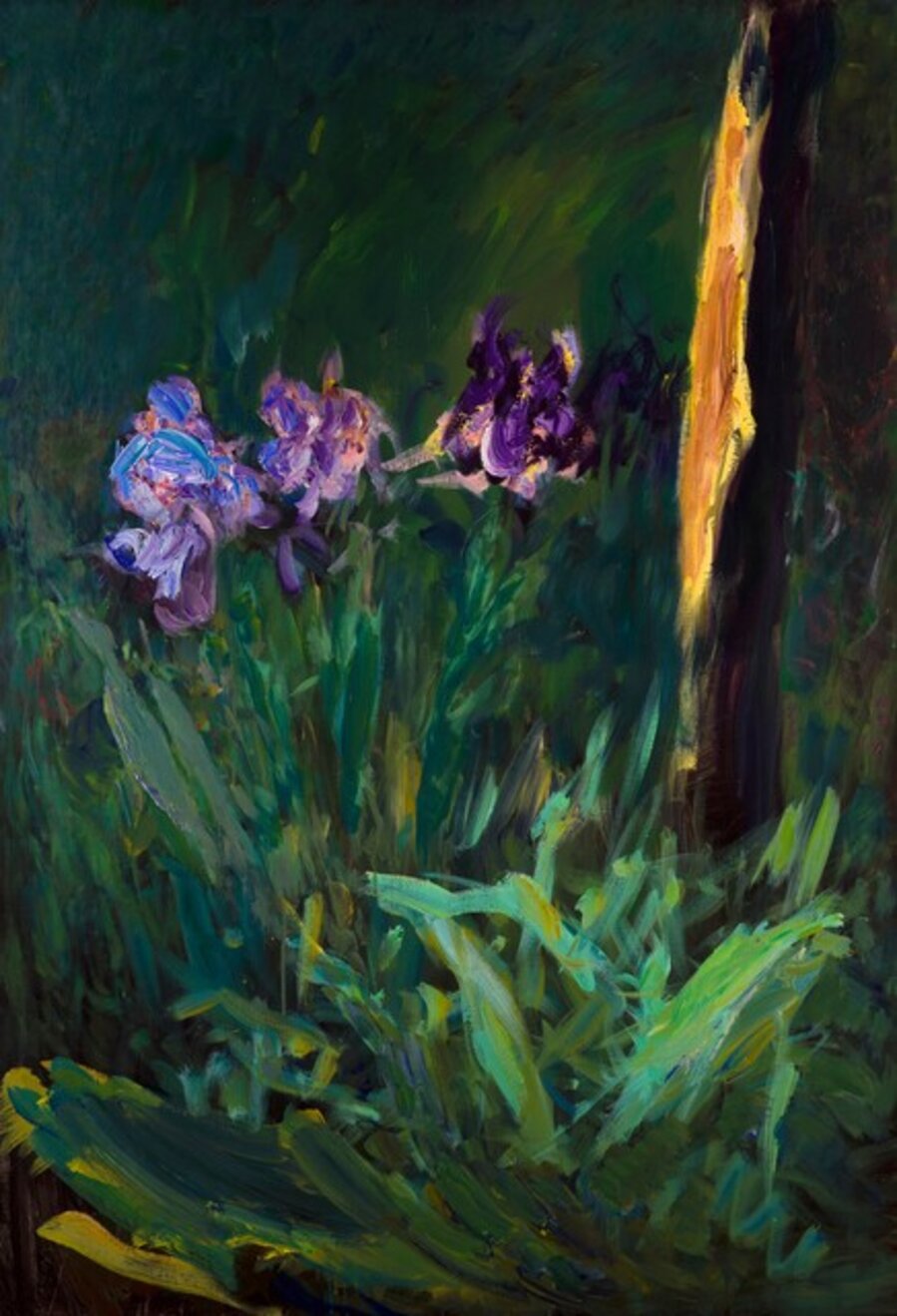 Trois Iris Avec Poteau