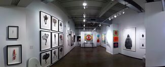 Newzones at Dallas Art Fair 2014, installation view