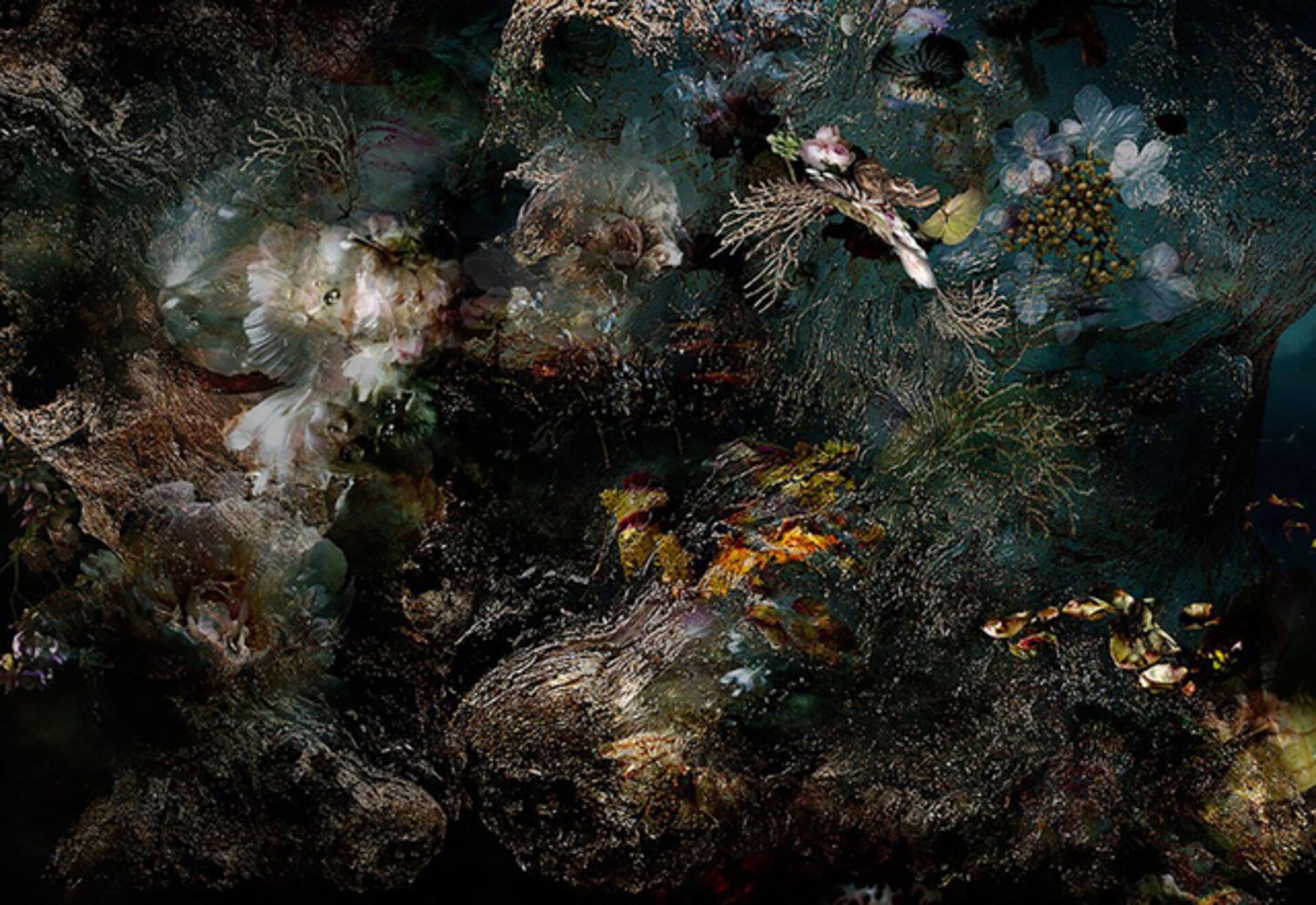Origin 05