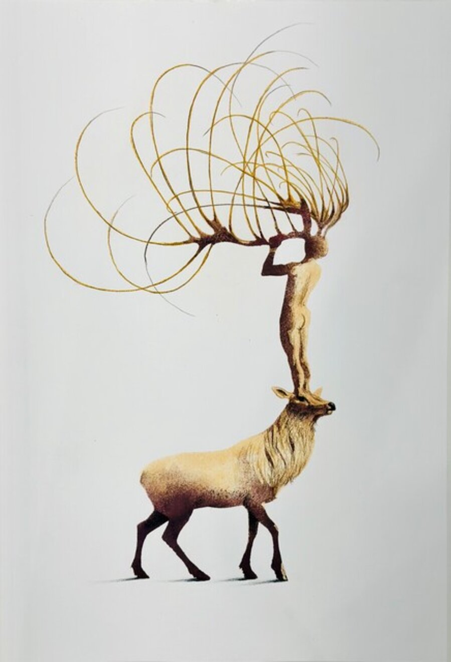 Elevazione
