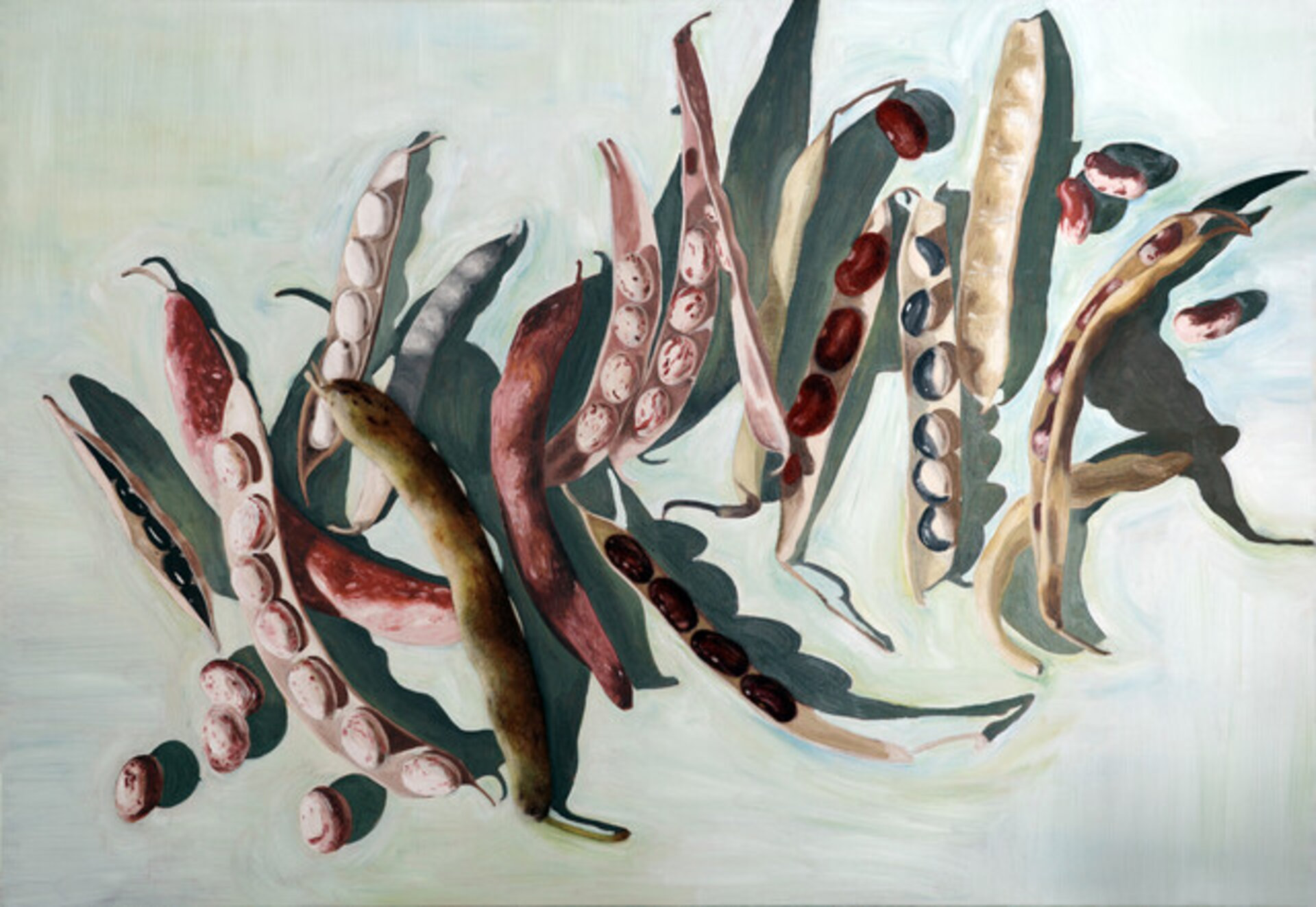 Seedpods