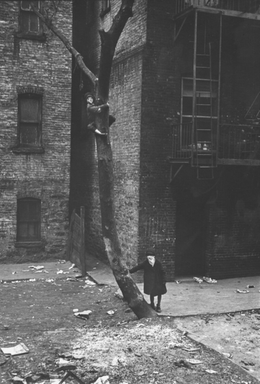Untitled (Masks in Tree), New York City, New York