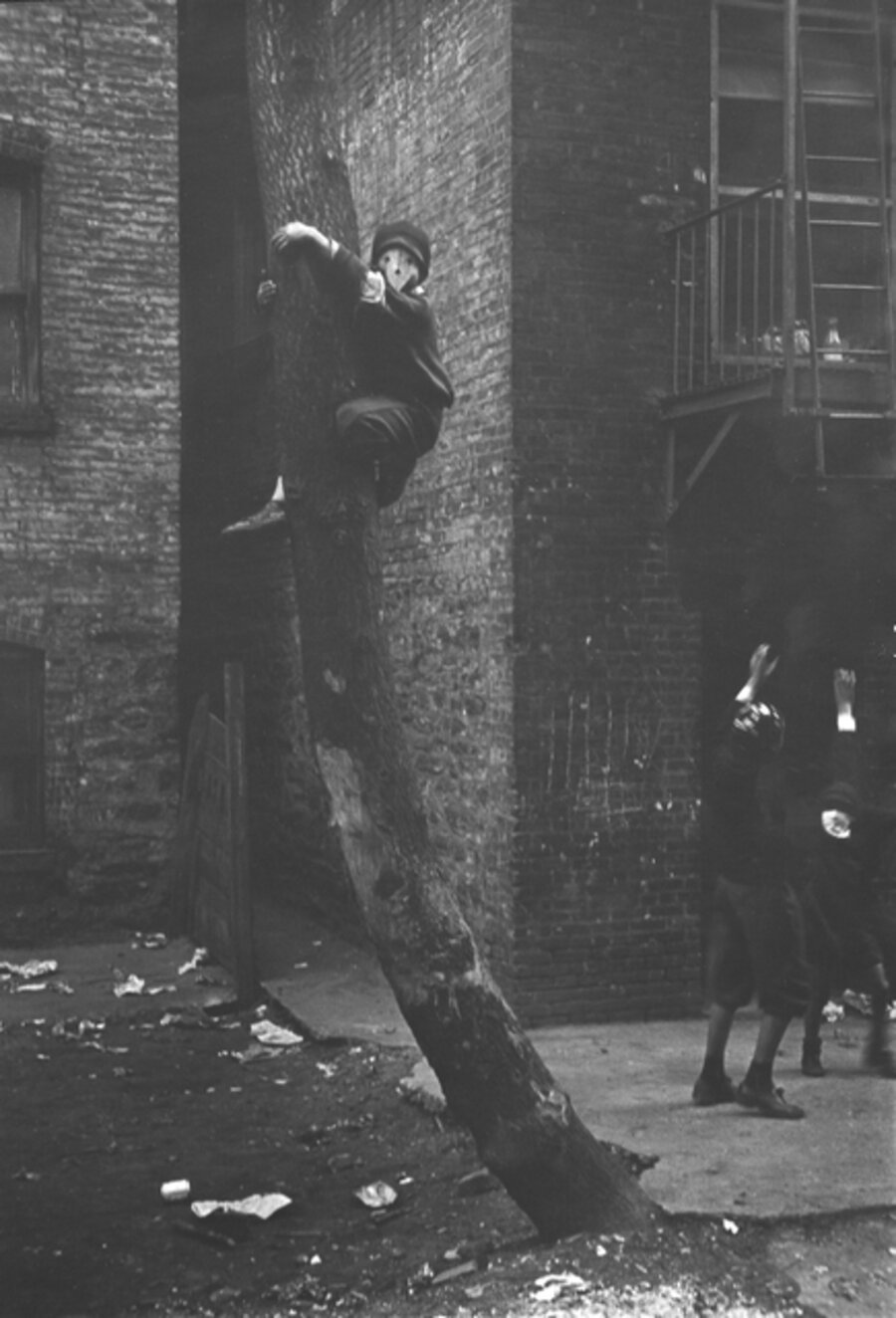 Untitled (Masks in Tree), New York City, New York (variant)