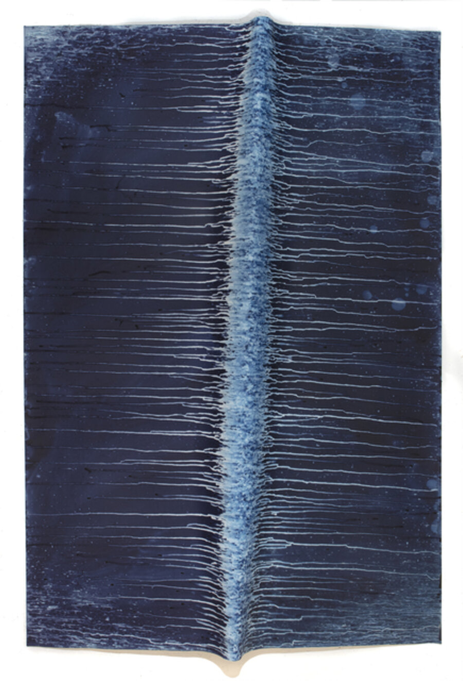 Ecotone #348 (Bainbridge Island, WA, Exposure Date Unknown, Draped on Windfall Limb)