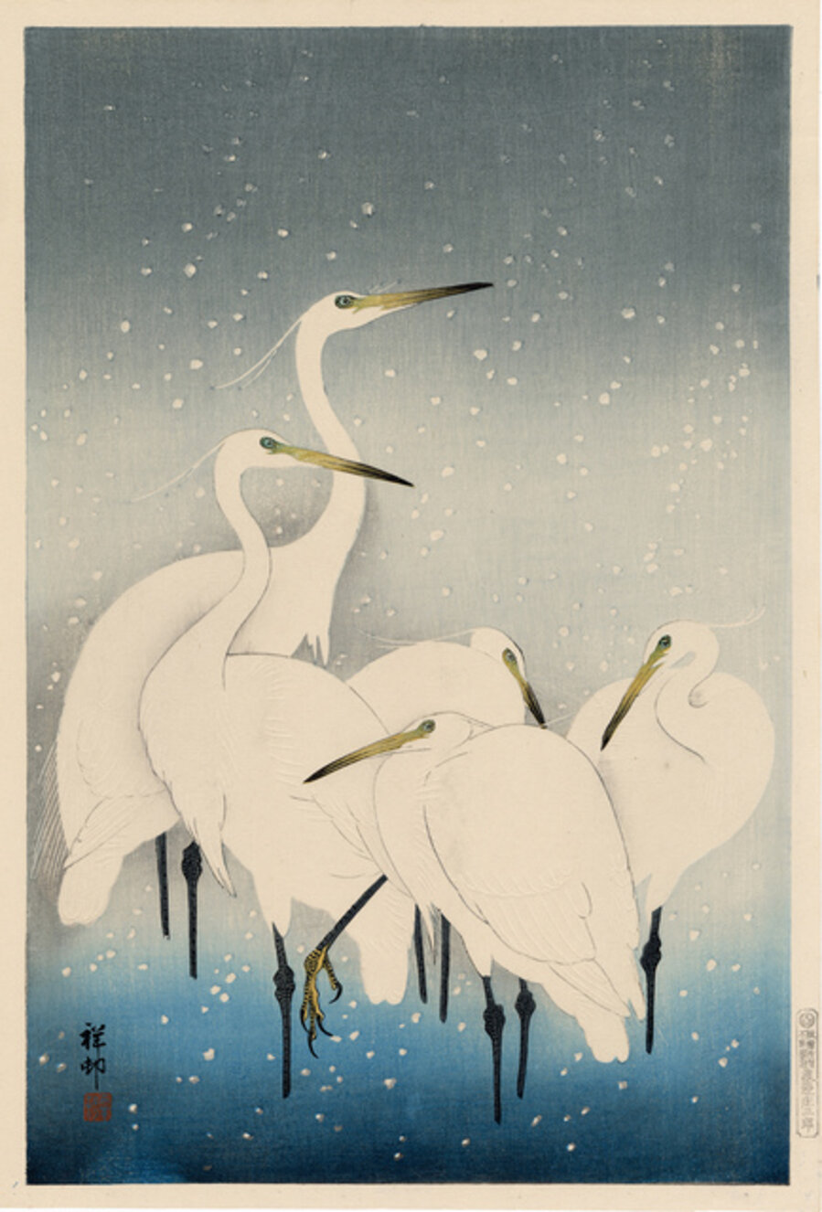 Egrets in the Snow