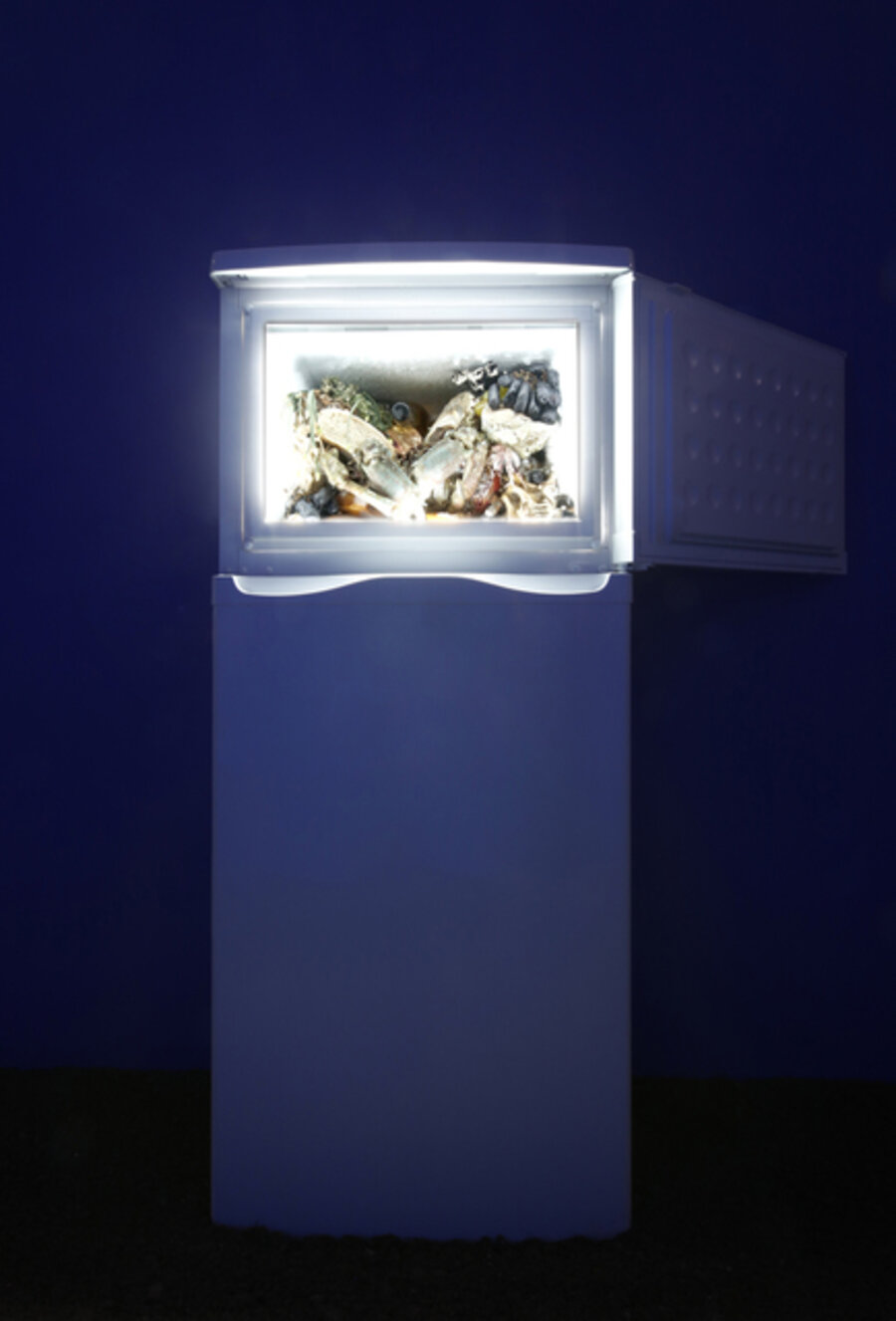 From the series The Theater of Disappearance (VIII)