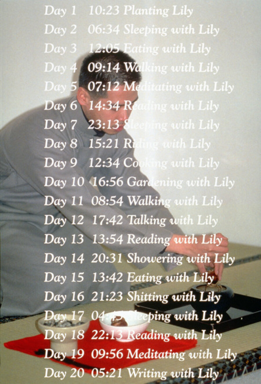 100 Days with Lily 水仙的100日