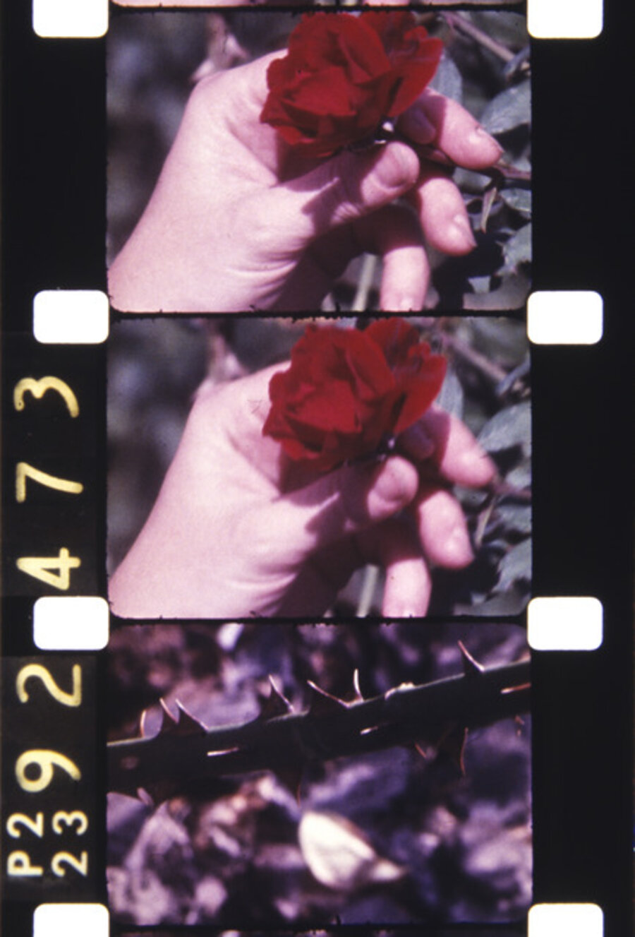 Filmed on StatenIsland, 1980