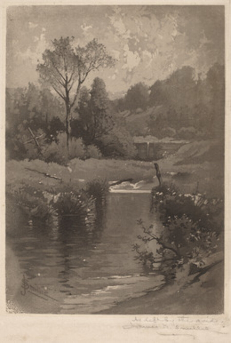 Old Dam Near Montrose