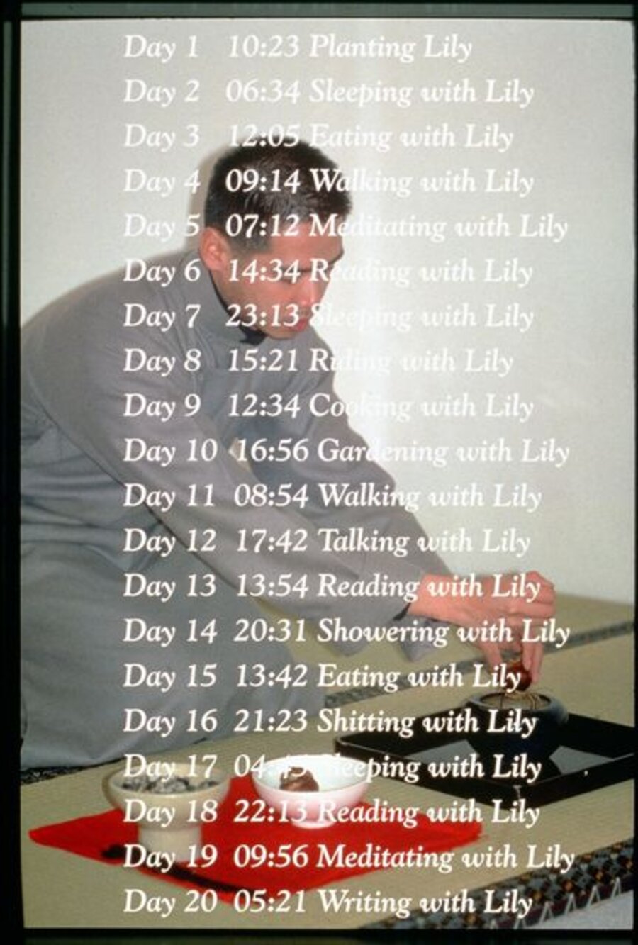 100 Days with Lily