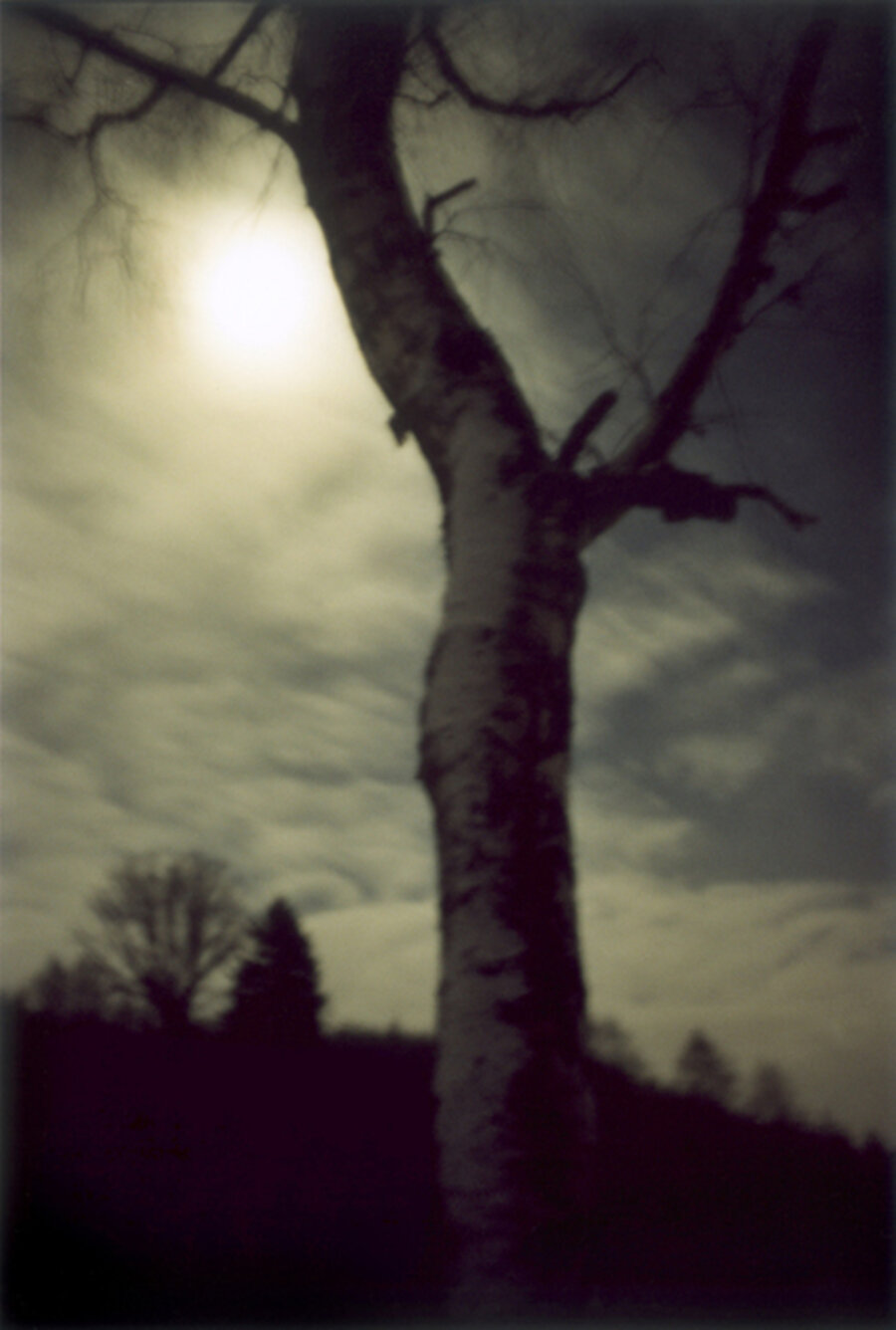 Moonshine