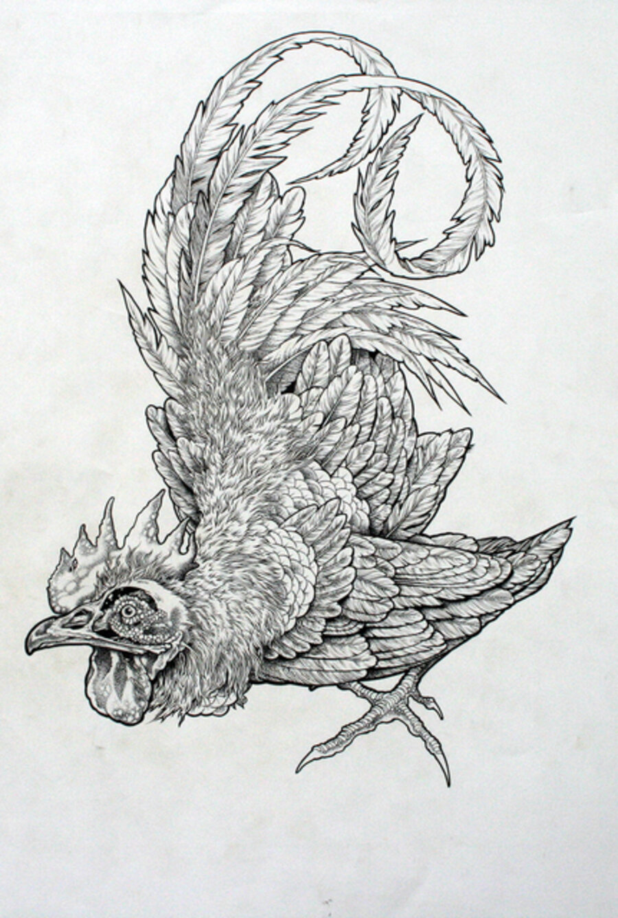 Baroness Rooster