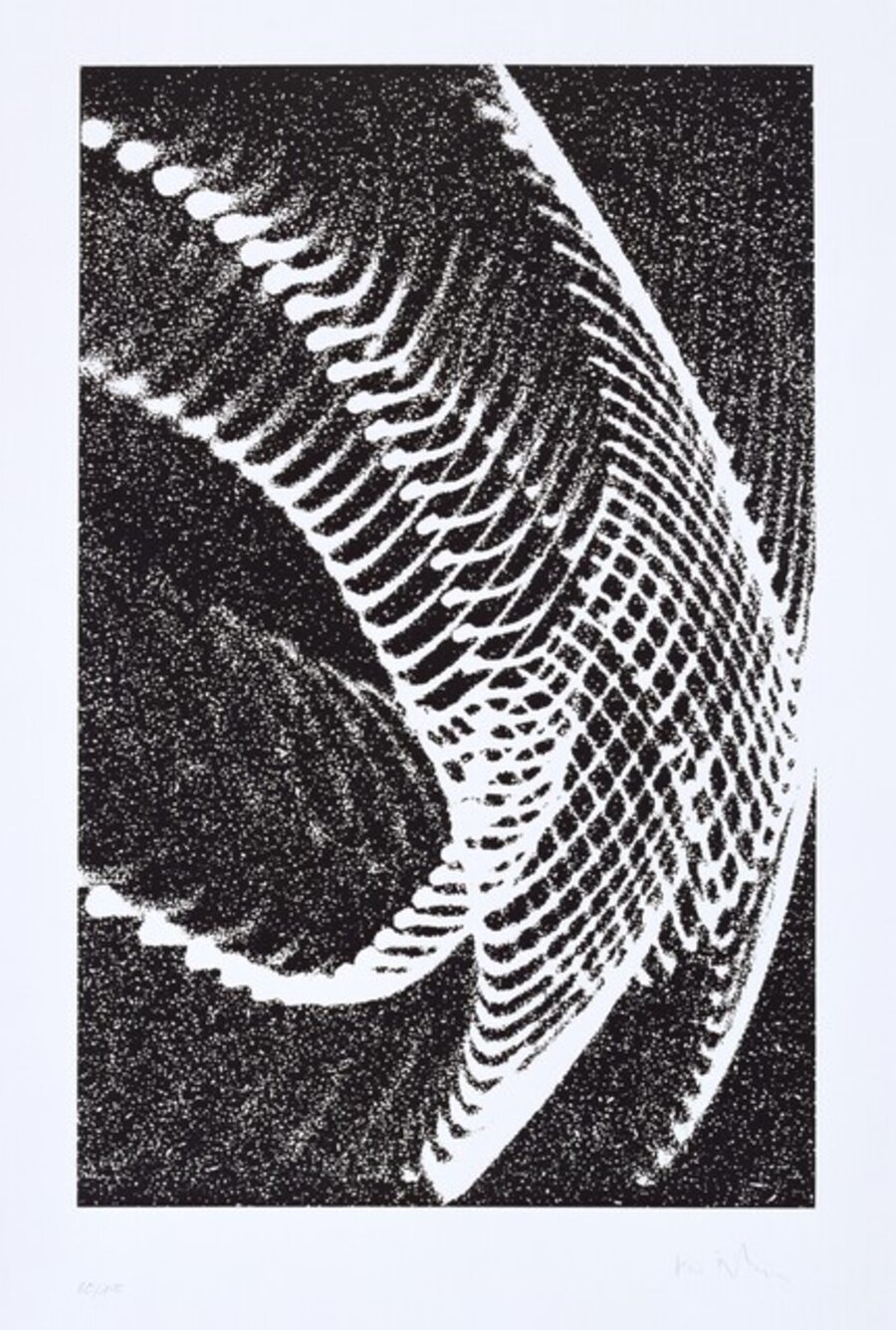 Oszillogramme 1