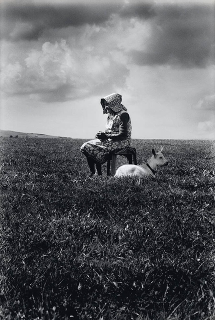 The Shepherdess
