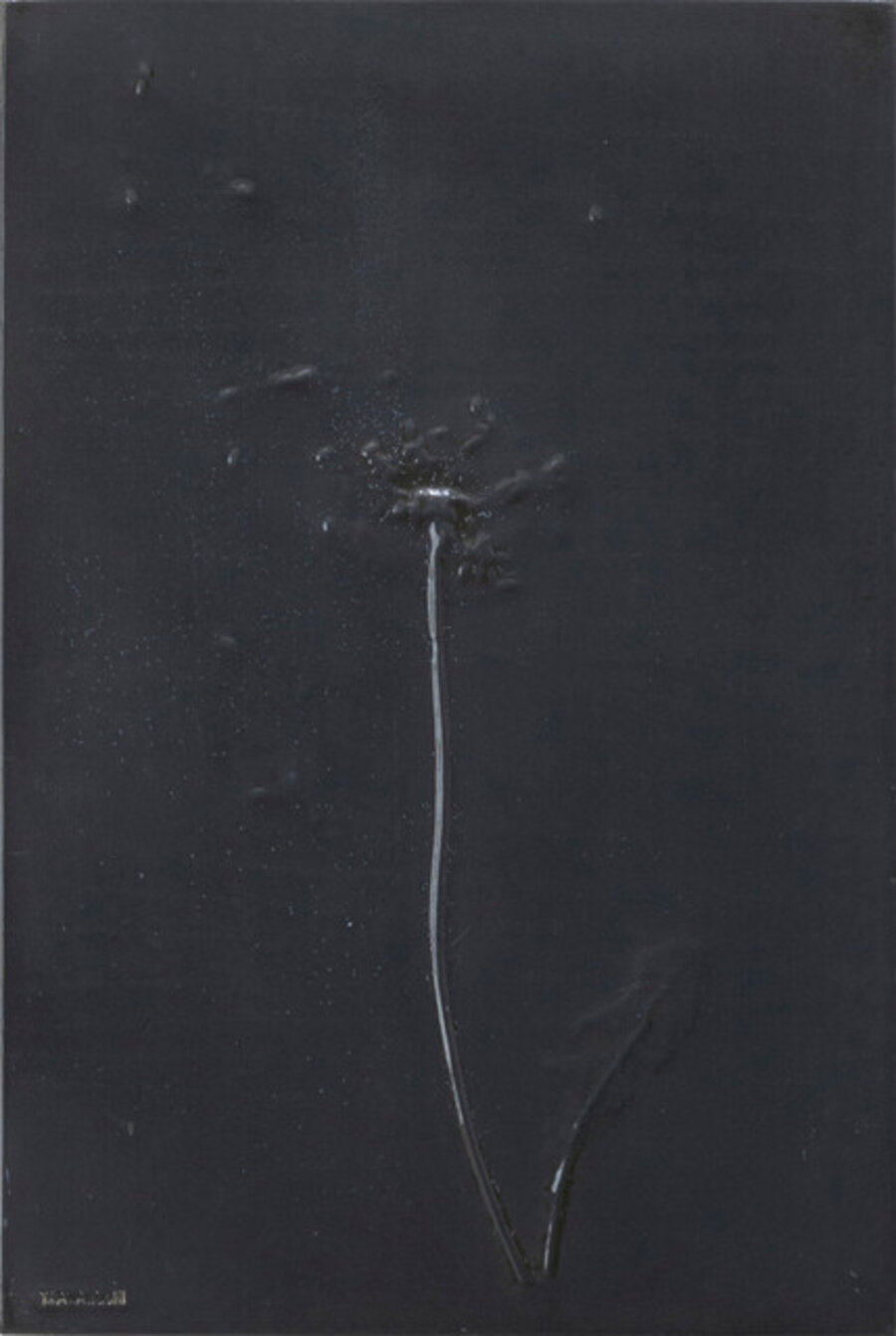 Relation - Plant, Dandelion of Hiroshima 1995-8