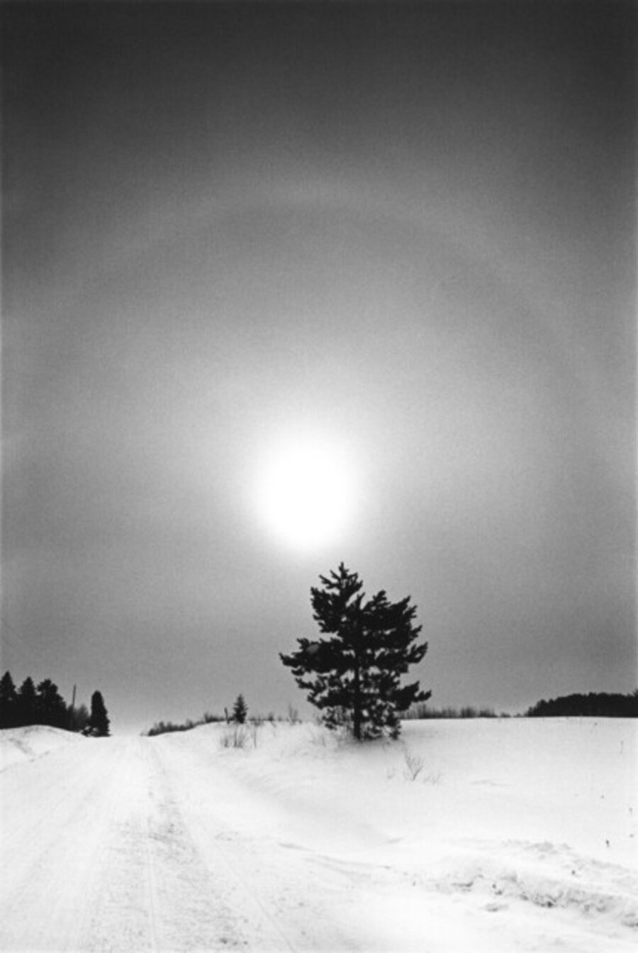 Minnesota, from the series, "Highway 61"