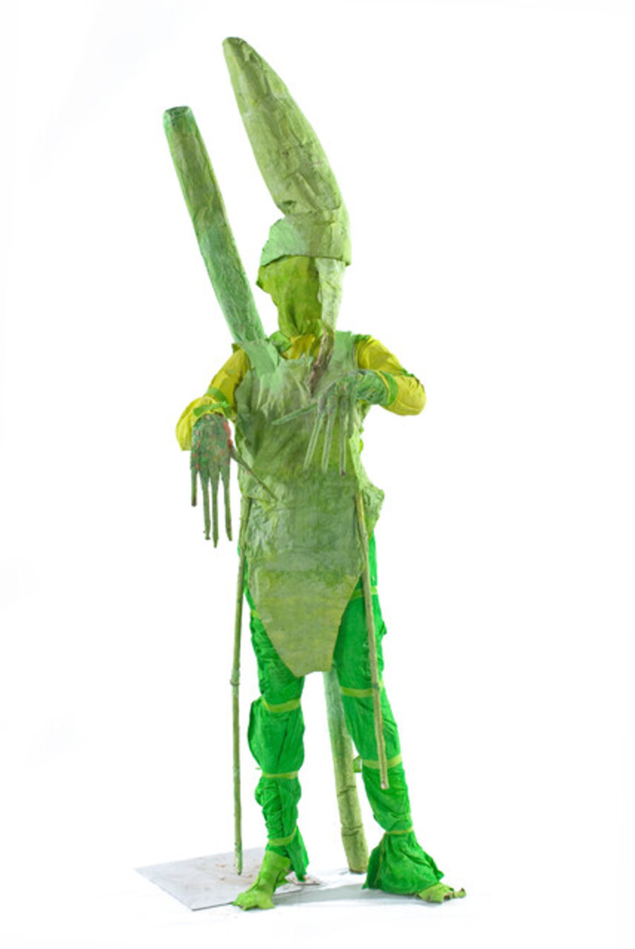 The Stick Insect