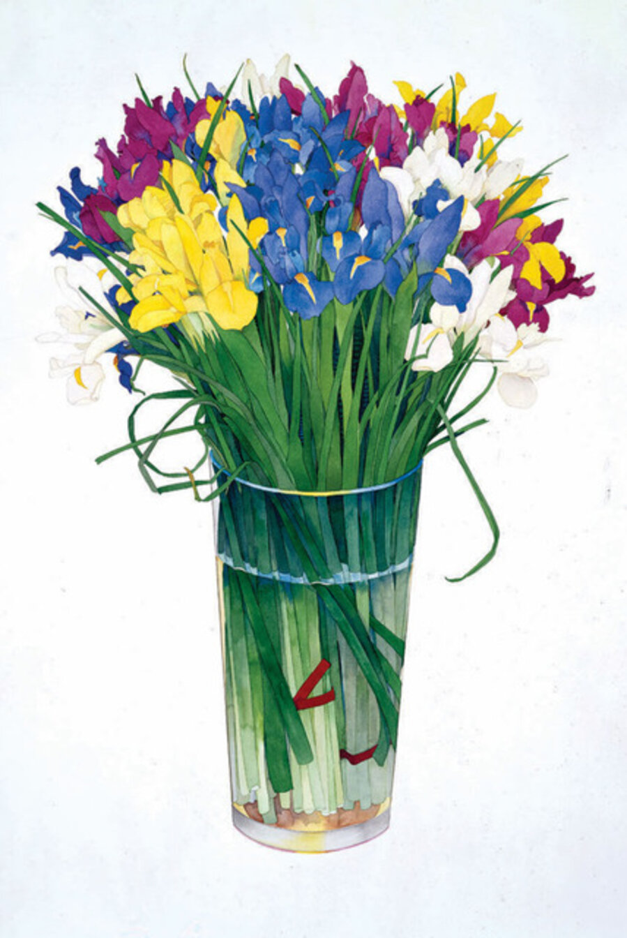 Symphony Iris, 2000