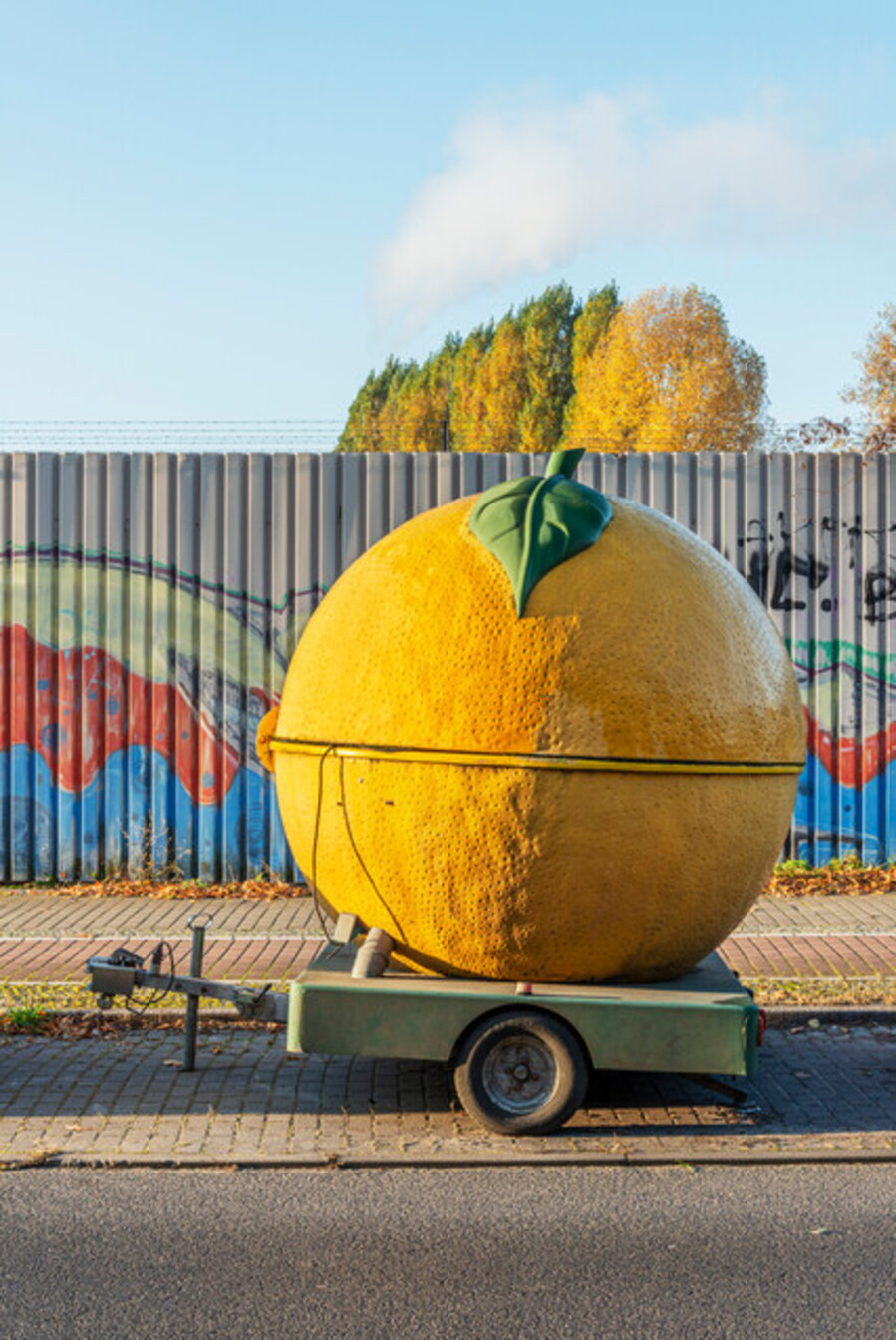 Orange (Reinickendorf)
