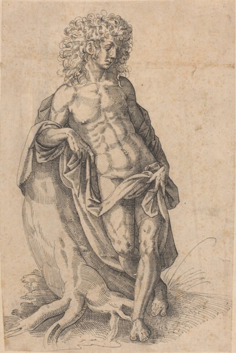 Apollo