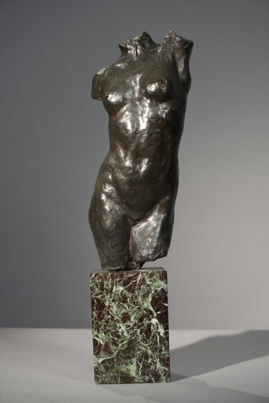 Torso