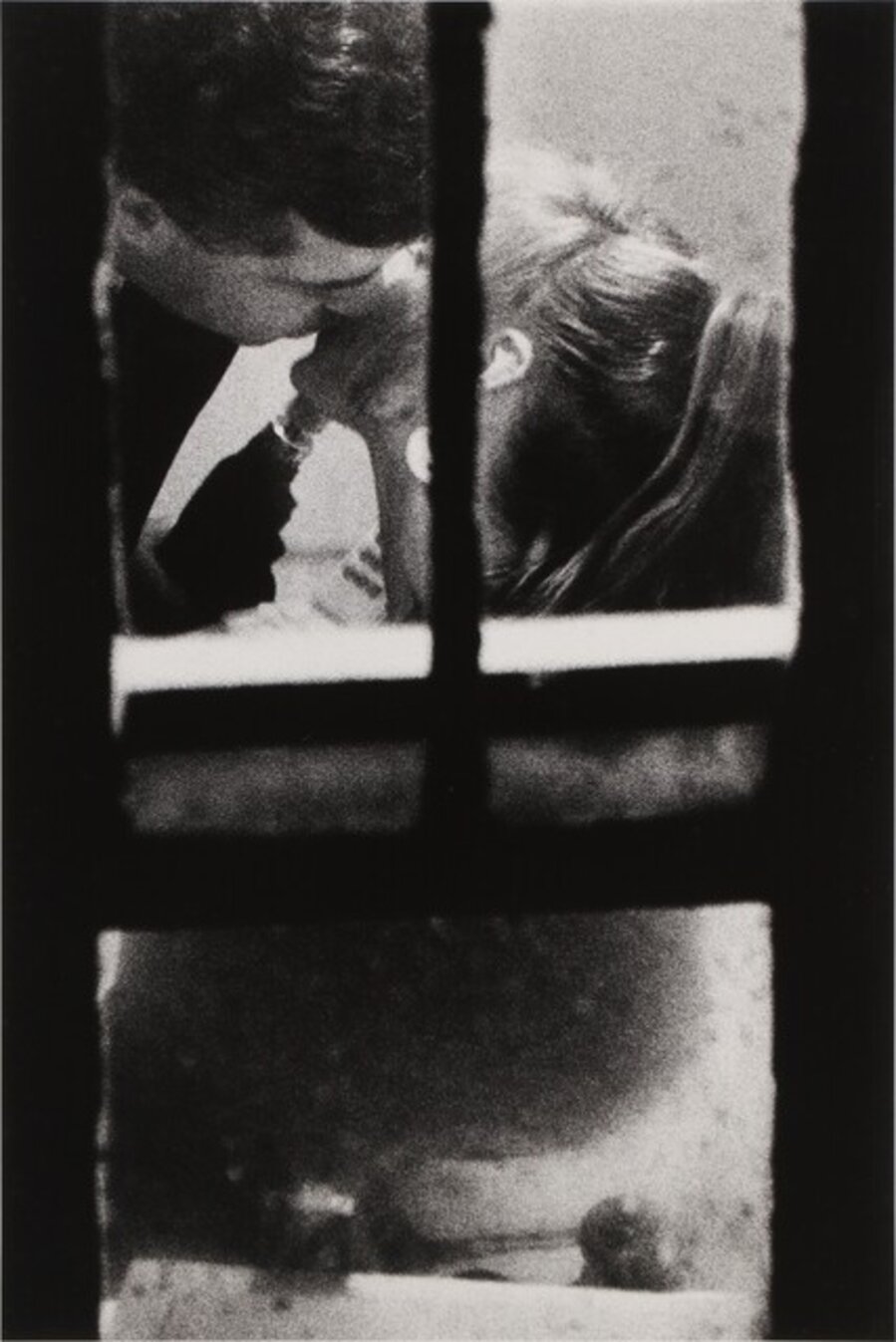 The Window Series