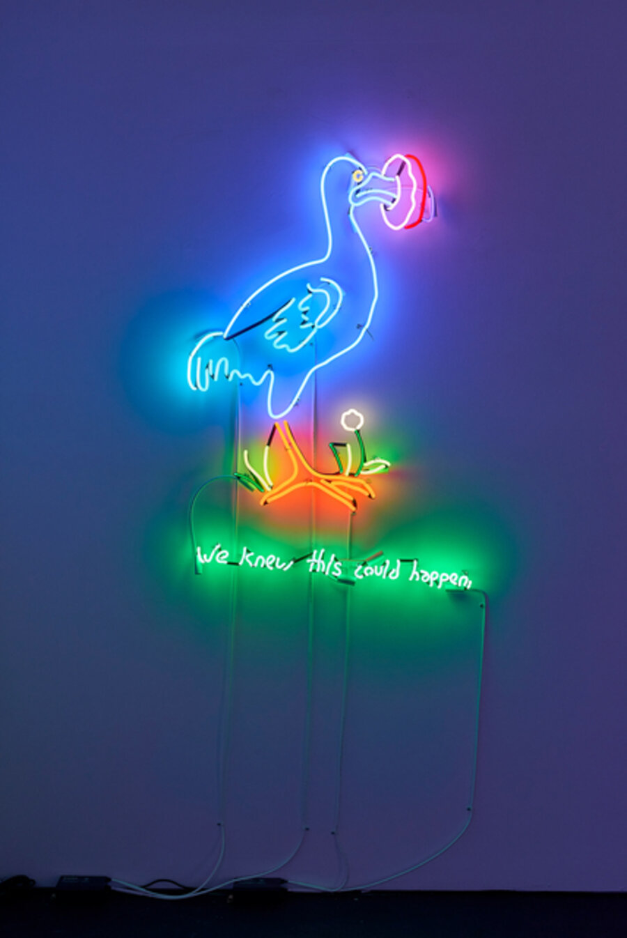 Dodo (We Knew This Could Happen)
