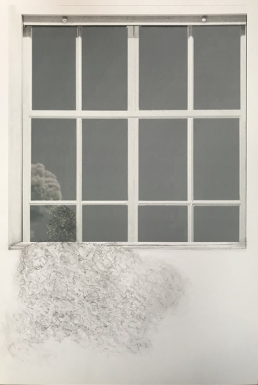 Window to the World