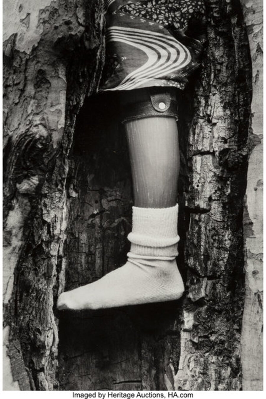 Untitled (Prosthetic Leg in a Tree)