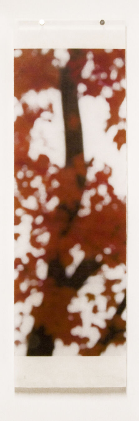 Jeri Eisenberg, ‘ Sugar Maple Flutters (Red)’, 2007