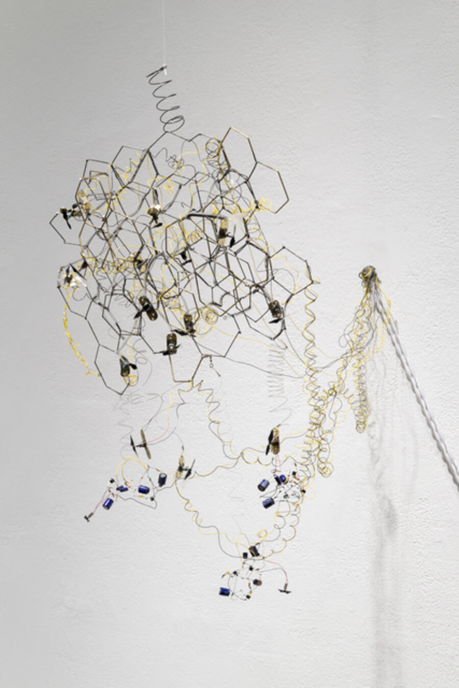 Kinetic Study of Bees No. 3