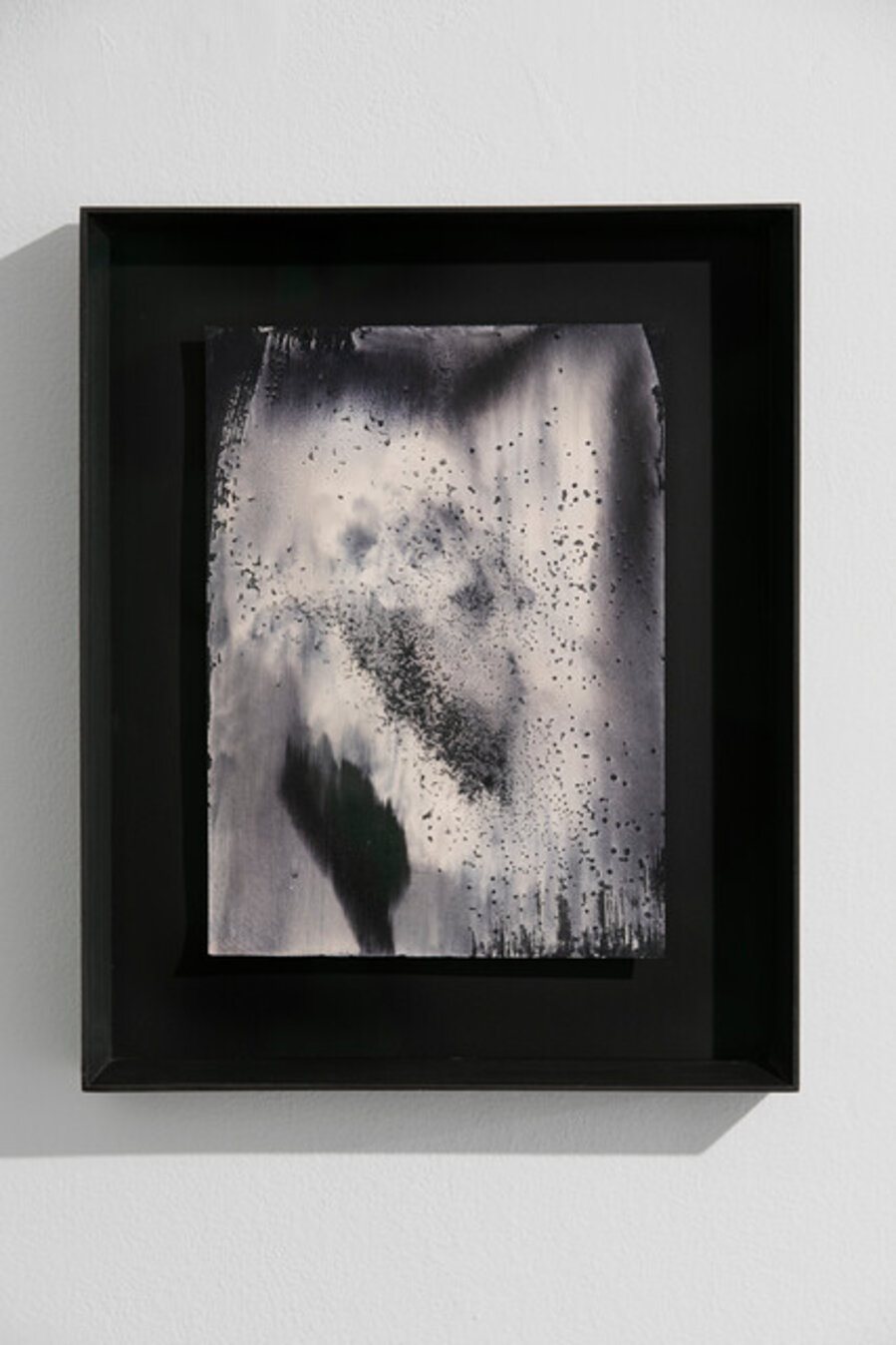 Glimpse VII